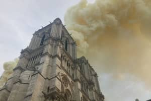Квазімодо і Нотр-Дам: художниця намалювала зворушливий малюнок, який став вірусним у мережі