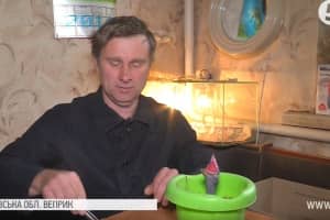 Влаштували екологічну халепу: у парку Фастова взялися за обрізку дерев під час гніздування граків