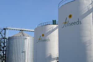 Allseeds: "100 000" - щасливе число квітня 19-го