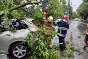Негода в Україні потрощила автівки й поламала дерева, одна людина загинула – фото, відео