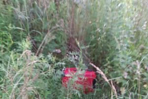 Знову моторошна знахідка: у Чернівцях виявили валізу з мертвою дитиною