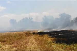 На Одещині палає рекреаційна зона 