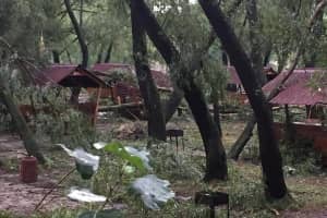 Повалені дерева і рекламні щити: як за кілька хвилин ураган наробив лиха у столиці – фото