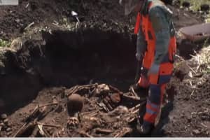 Знайшли останки 200 осіб: уже третій рік пошуковці розкопують тіла полеглих у "Барвінківському котлі 1942-го"