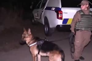У Гідропарку внаслідок стрілянини загинув чоловік