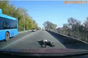 В Днепропетровской области скорая 