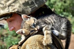 Собаки, "виховані" війною, і бойовий страус Федя: тварини й люди, які на фронті врятували одне одного