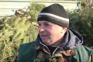 "Гроші заробили і ганебно втекли": куди дівають покинуті на вулицях ялинки в Одесі – сюжет 