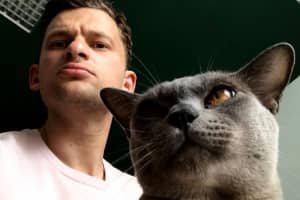 "Товстий і нахабний": Дубілет розповів, звідки взявся "мобільний кіт"
