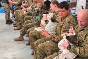 Австралийские военные в свободное от службы время кормят коал, выживших в пожарах