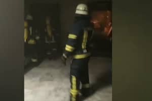 В Запорожье загорелась выставка с экзотическими животными – что известно