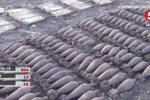 250 снарядов времен Второй мировой нашли во время полевых работ в Черкасской области