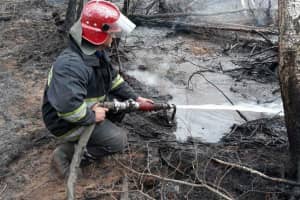 Рятувальники продовжують ліквідовувати пожежі у Зоні відчуження та на Житомирщині – що наразі відомо