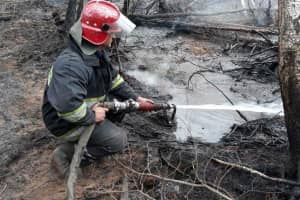 Спасатели продолжают ликвидировать пожары в Зоне отчуждения и Житомирской области – что известно