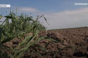 Посевную не удалось начать только в одной области – Шмыгаль