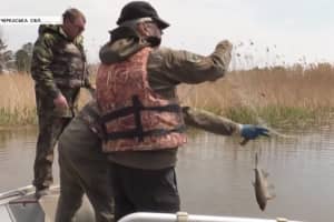 Період нересту і ловлі браконьєрів: що ускладнює захист дніпровської риби від незаконного вилову