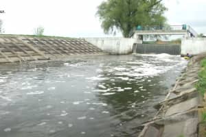 Посуха в Україні: ситуація на водоймах і що прогнозують екологи