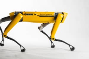 Нове вражаюче відео з роботом-собакою Boston Dynamics: тепер він пасе овець