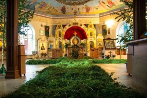 Свято Трійці під час війни: як українці відзначають Зелені свята – відео