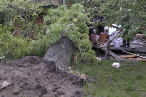 Дерево разрушило дом: во Львовской области 28-летняя девушка погибла из-за непогоды