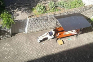 Загорает во дворе: в Сети показали фото, как Зайцева отбывает наказание за смертельное ДТП 