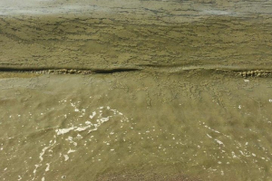 Масляниста вода: на одеському курорті Фонтанка зафільмували брудне море