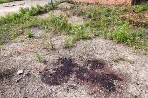 Ліквідація полтавського зловмисника Романа Скрипника: як проходила спецоперація правоохоронців
