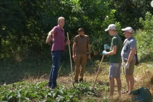 Могила богданівців на Замковій горі: як у Києві пройшов Петлюрівський суботник