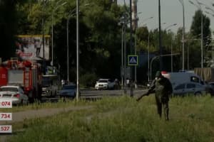 Цветение амброзии и аллергия: что делать аллергикам и как бороться с опасным растением