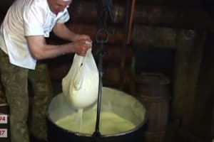 Аналогов в мире  нет: "Гуцульская коровья брындзя" готовится получить географическое указание