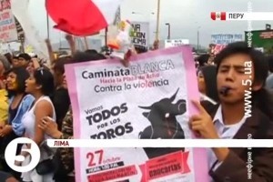 У Перу захисники таврин протестували проти кориди