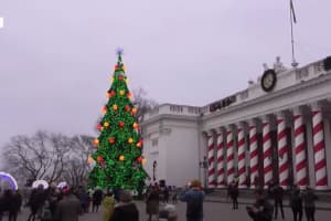 В Одессе засияла главная елка
