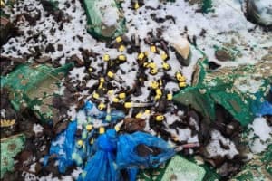 Поблизу Львова поліція виявила звалище медичних відходів