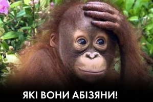 Клоуны, служанки, фрики и ватники – четыре всадника украинского апокалипсиса – 