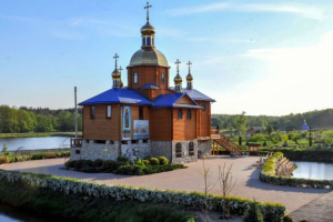 ​Кабмін дозволив віддати 16 га лісу на Житомирщині монастирю РПЦвУ – що відомо
