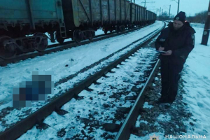 В Николаевской области мужчину насмерть сбил поезд