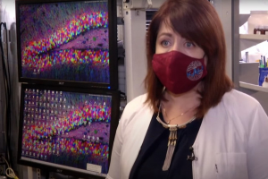 МВС претендує на будівлю Інституту фізіології: як відреагували науковці