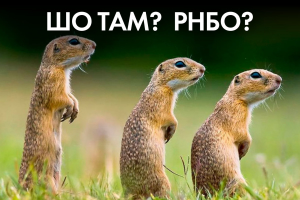 Чи зможе "чесний" суддя Вовк заборонити "Партію Шарія" – "Час Ч"