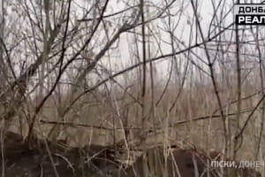 "Три орудия бьют": в Сети появилось видео, как оккупанты РФ обстреливают украинские позиции на Донбассе