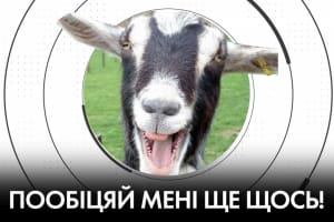 Кого поховає "вовчий" сейф: НАБУ чи ОАСК, та коли РНБО переключиться з "контрабасу" на оборону країни – "Час Ч"
