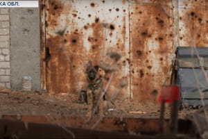 Захищають цілими родинами: як армійці ЗСУ обороняють околиці Донецька та що кажуть про провокації ворога