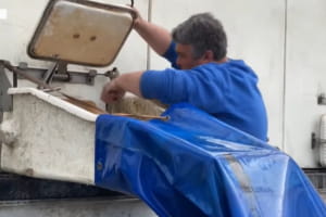 Головна водна артерія України: у Дніпро випустили понад 6 тонн риби 
