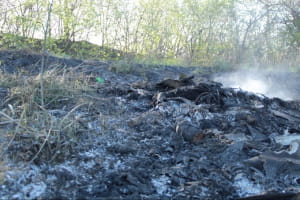 Оккупанты вызвали пожар вблизи гражданского сектора Попасной Луганской области 