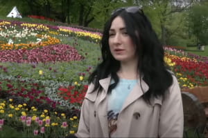 На Співочому полі забуяла виставка тюльпанів: цьогоріч розквітла рекордна кількість – включення 