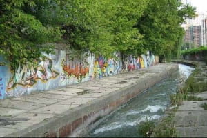 "Похоже на сырный соус": в Киеве легендарная река Лыбидь стала желтой – фото