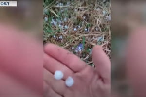 В Одесской области прошел сильный ливень, выпал град размером с вишню