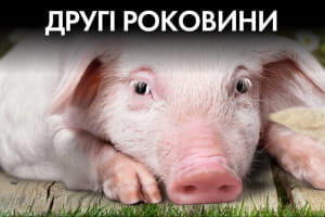 Увольнение министров: сакральная жертва или трое лишних и как Яценко партию себе купил – "Час Ч"