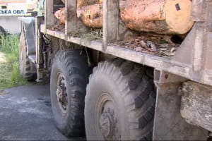 На Рівненщині колесо від вантажівки вбило пішохода