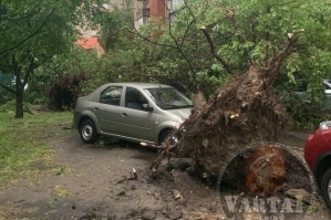 На Львов внезапно налетел шторм: город затопило, деревья вырывало с корнями