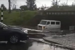 Непогода во Львове: в ГСЧС поступают сообщения о подтопленных домах и поваленных деревьях